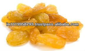 jumbo Yellow Raisin