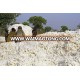 COTTON SEEDS West Africa quality and low price