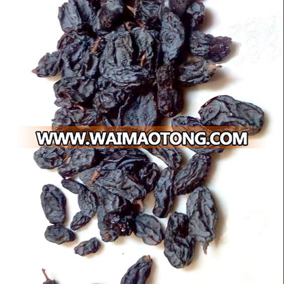 Raisin Black