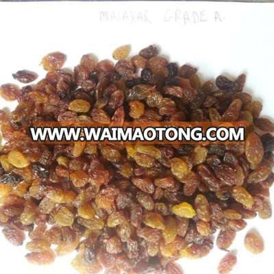 HIGH QUALITY MALAYAR RAISIN FOR EXPORT